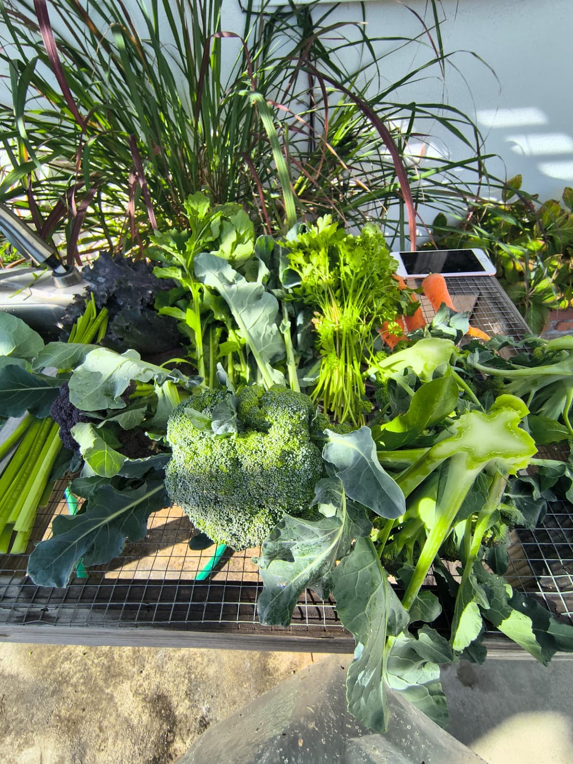 Garden-fresh greens and vegetables