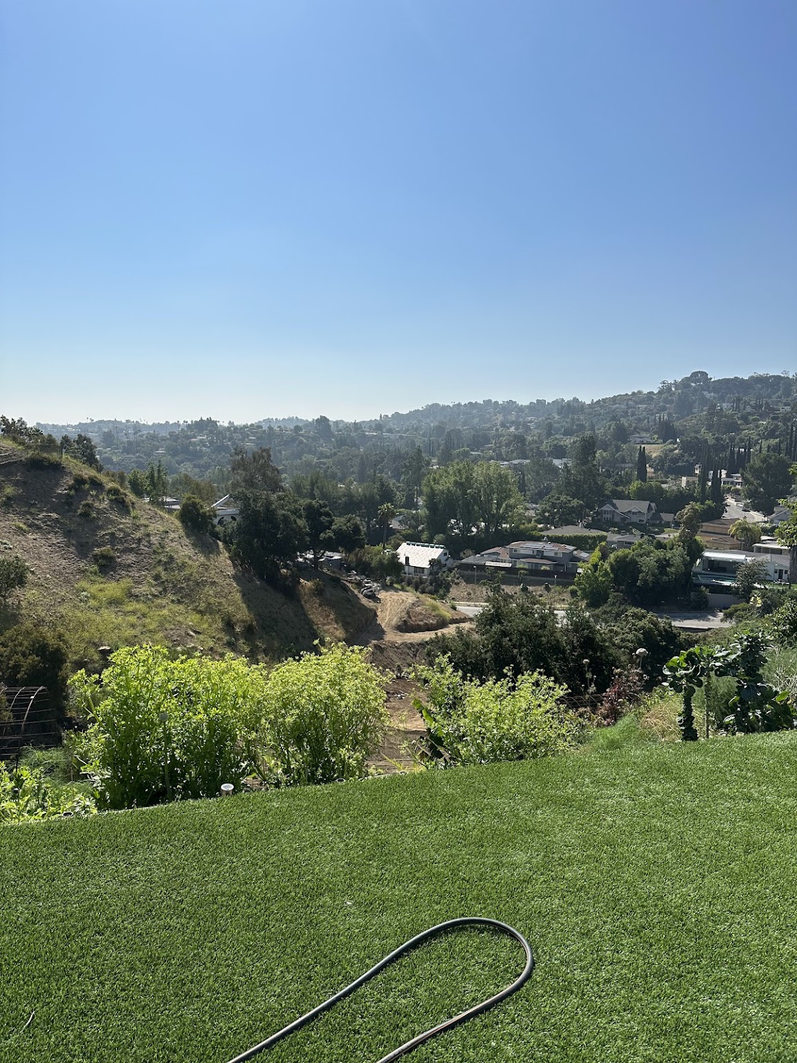 Panoramic hillside view from the property